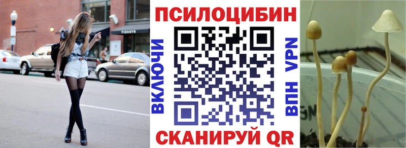магазин  наркотиков  Новосибирск  Галлюциногенные грибы мухоморы 